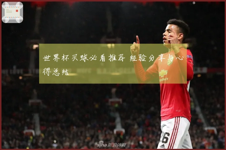 世界杯买球必看推荐 经验分享与心得总结