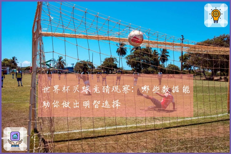 世界杯买球竞猜观察：哪些数据能助你做出明智选择