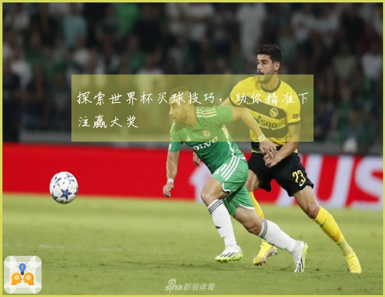 探索世界杯买球技巧，助你精准下注赢大奖