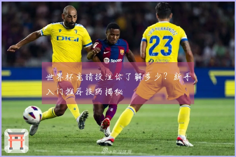 世界杯竞猜投注你了解多少？新手入门推荐技巧揭秘