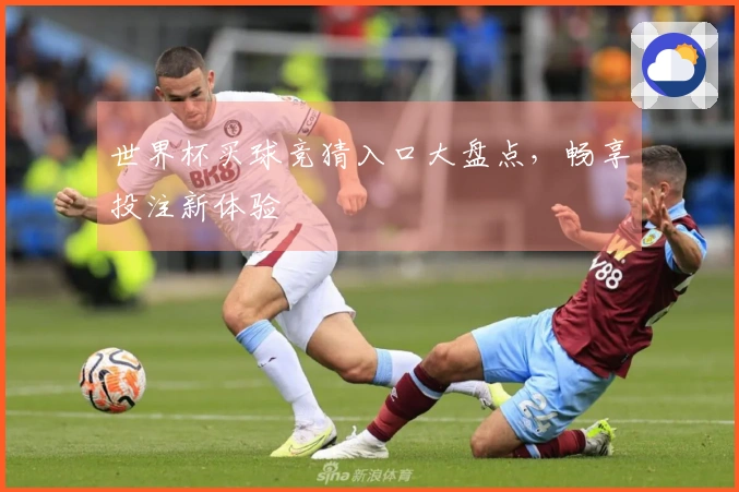 世界杯买球竞猜入口大盘点，畅享投注新体验