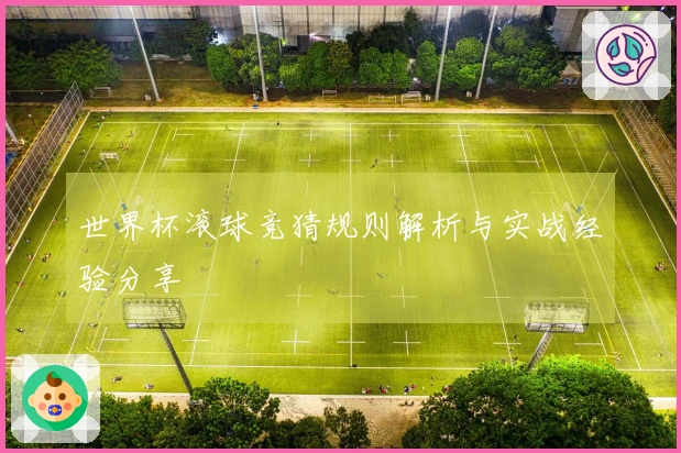 世界杯滚球竞猜规则解析与实战经验分享
